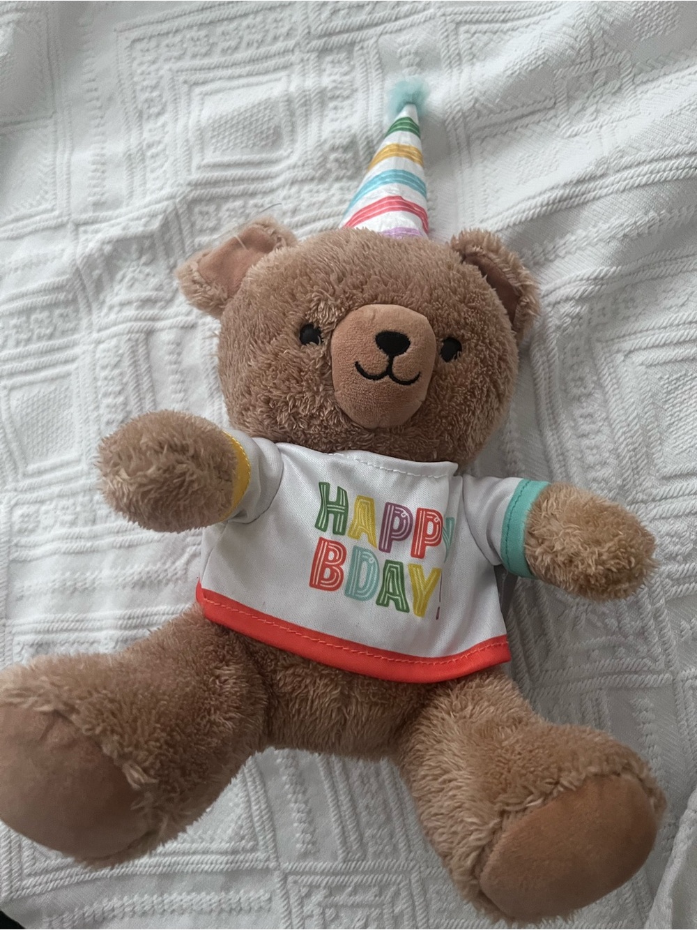 Birthday Plush Bear with Rainbow Party Hat